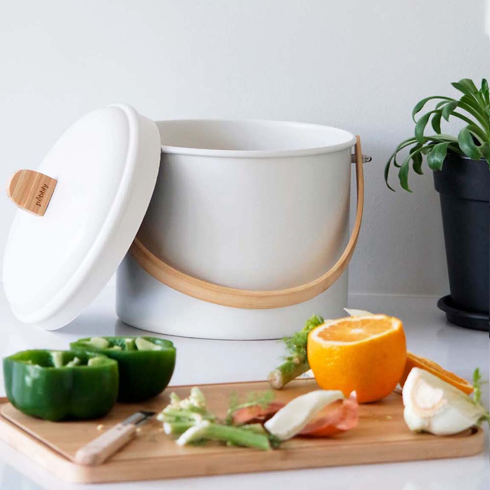 Compost Bin with Charcoal Filter