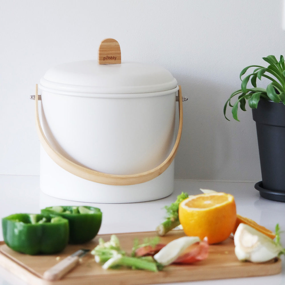 Compost Bin with Charcoal Filter